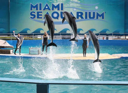 Miami Seaquarium